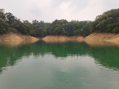 -广州市流溪河国家森林公园