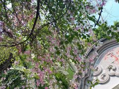 -深圳国际园林花卉博览园