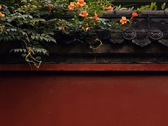 -西安市广仁寺