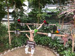 -南宫五洲植物乐园