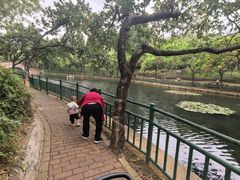 -深圳龙潭公园