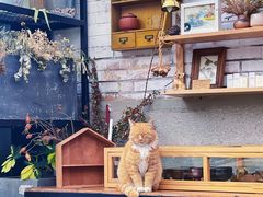-北马山庄植趣咖啡