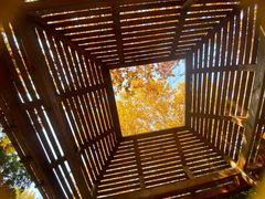 -春晖园度假酒店温泉