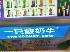 -一只酸奶牛(春熙路店)