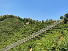 -长沙黑麋峰国家森林公园