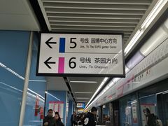 -大龙山(地铁站)