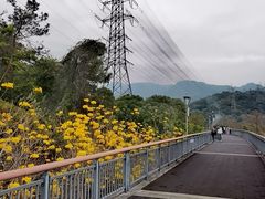 -金鸡山公园