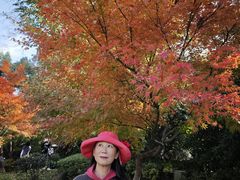 -上海瑞金洲际酒店
