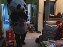 -熊猫不走蛋糕（同城送）(长沙店)