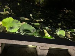 -白塘生态植物园