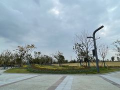 -上海滨江森林公园