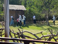 -泉州海丝野生动物世界