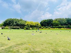 -白鹭洲公园