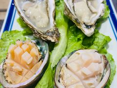 鲜活小鲍鱼-金龙·打边炉(武进路店)