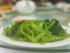 -新陶陶酒家