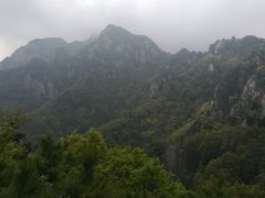 -王顺山国家森林公园