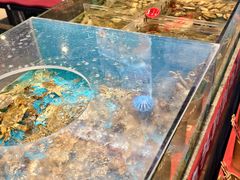 -魏铭鱼头捞饭(晋阳路店)