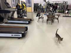 -中田健身工作室(嘉定江桥店)