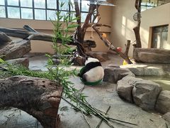-宁波野生动物园
