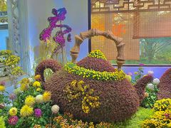 -杭州植物园
