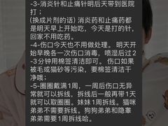 -谐和贝康宠物医院24小时·宠保定点(急重症转诊中心)