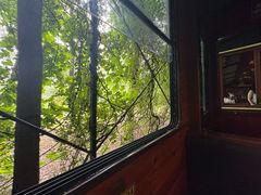 -合肥滨湖国家森林公园