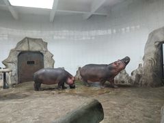 -新疆天山野生动物园