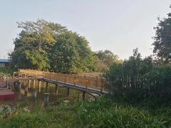 -海珠湖公园