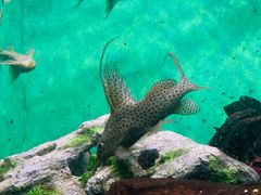 -常州海昌海洋探索馆