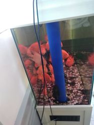 -非常六加一儿童摄影(同安店)