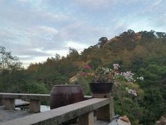 -厦门园林植物园-植物园滴水山房