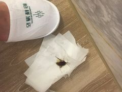 -柏槿酒店(罗湖口岸向西地铁站店)