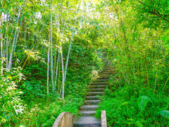-林丰温泉度假山庄