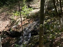 -秦岭风景区