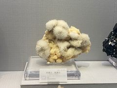 -湖南省地质博物馆