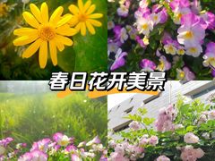 -锡师附小学(学前街校区)