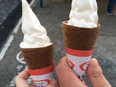 -富豪雪糕车流动点(尖沙咀店)
