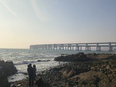 -星海湾跨海大桥