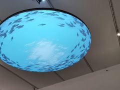 -上海当代艺术博物馆