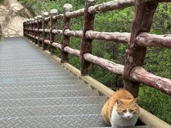 -北京凤凰岭