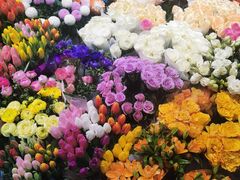 -双季花艺园艺市场(浦东店)
