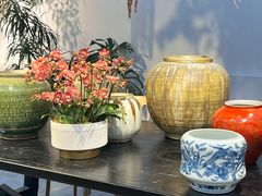 -自由生长植物工作室(深港花卉中心店)