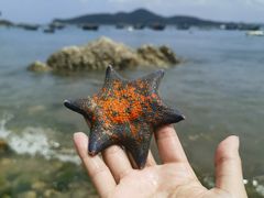 -海源公园