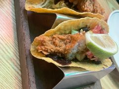 深海龙利鱼塔可-Famous肥猫墨西哥音乐餐吧(五棵松华熙LIVE店)