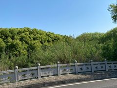 -同里国家湿地公园