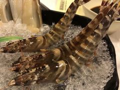 -鲜入围煮花胶鸡海鲜火锅