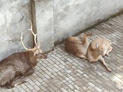 -台州府城(江南长城)