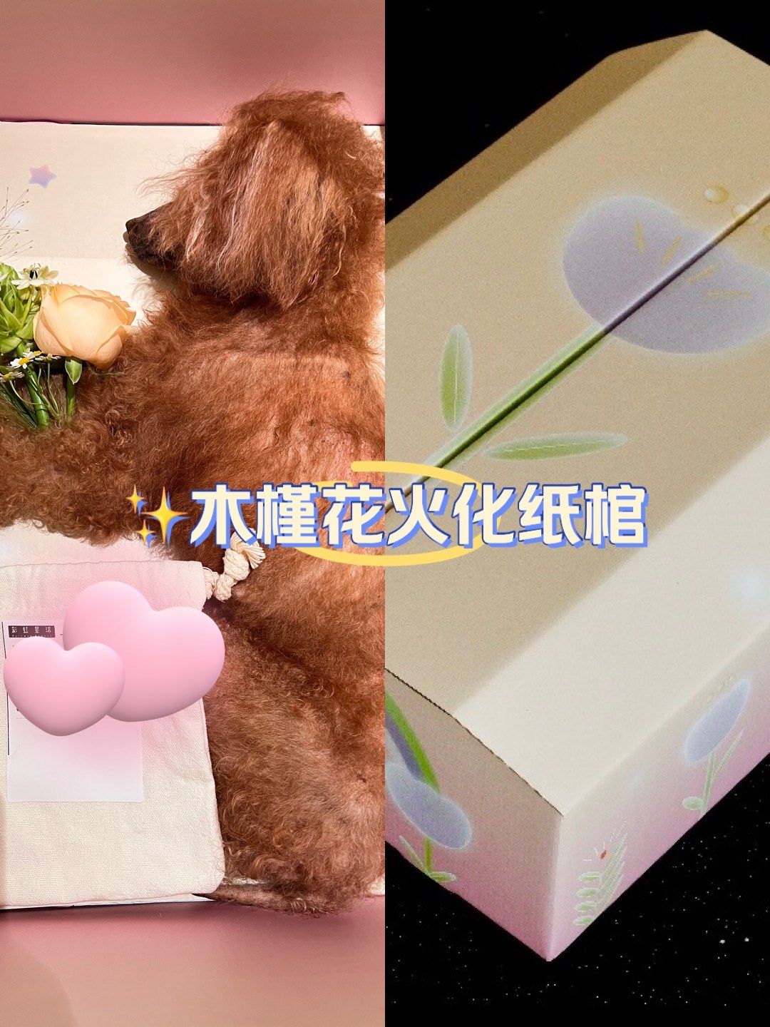你会为自己的宠物选一个漂亮的小纸棺吗?