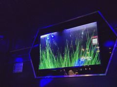 -魅KTV·AI辅唱(簋街店)