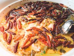 -江渔儿酸菜鱼(东二环泰禾店)